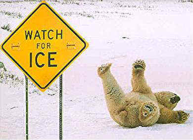 ICE.jpg