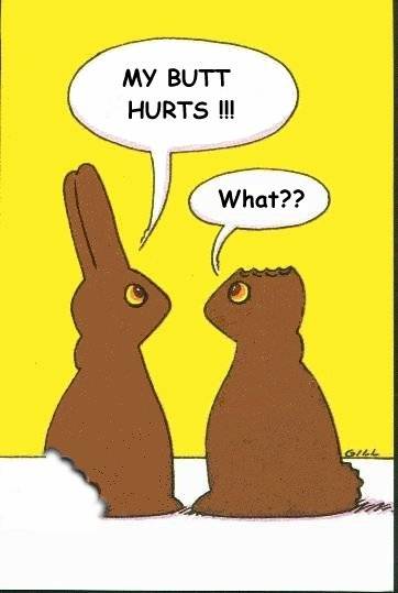 funny-easter-pictures25.jpg