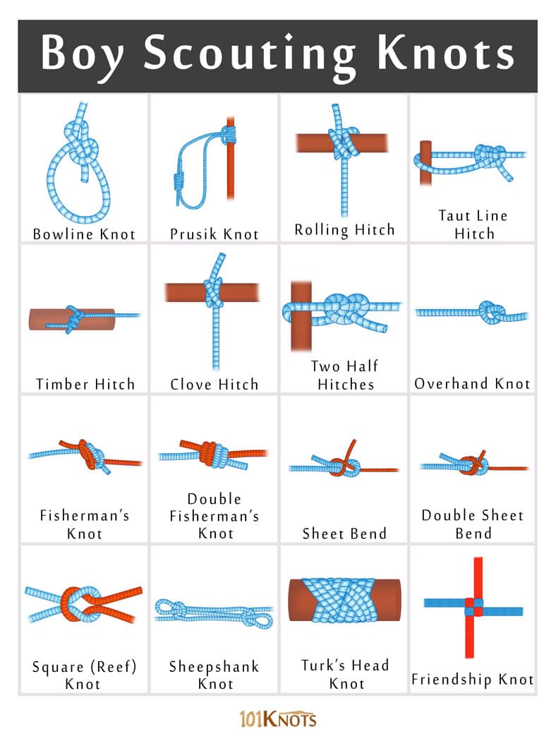 Boy-Scouting-Knots.jpg