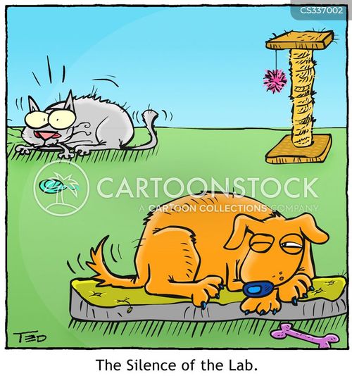 animals-dog-pup-puppy-labrador-cats-tnun51_low.jpg