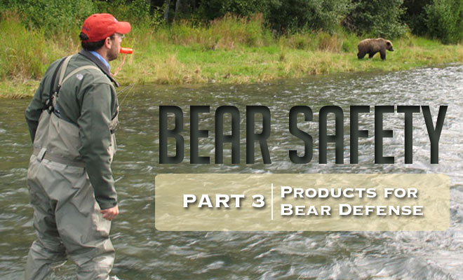 BearSafety3_FeatImg.jpg