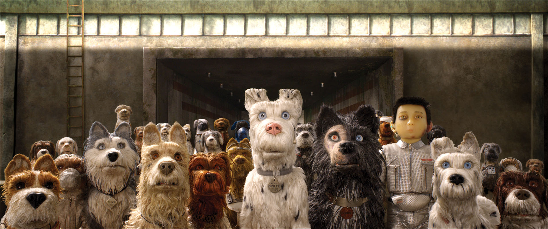 Isle-of-Dogs-1.jpg