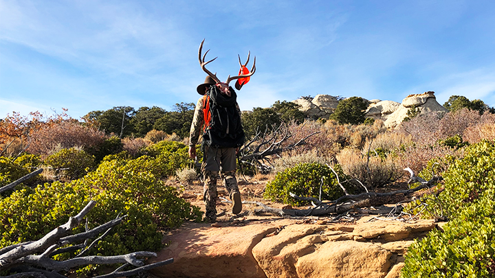 www.americanhunter.org