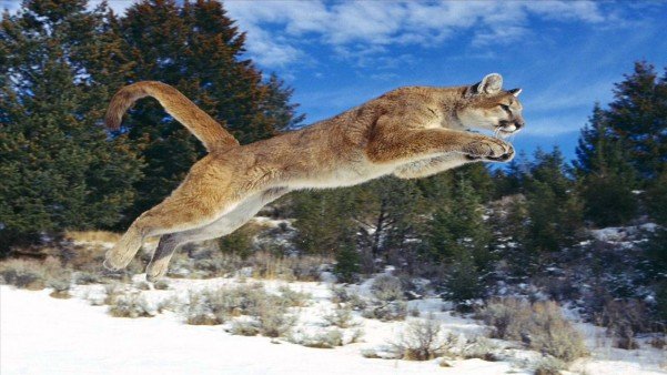 www.liveoutdoors.com