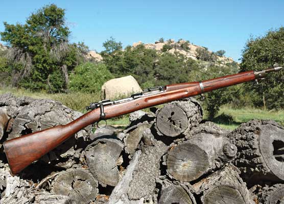 gunsmagazine.com