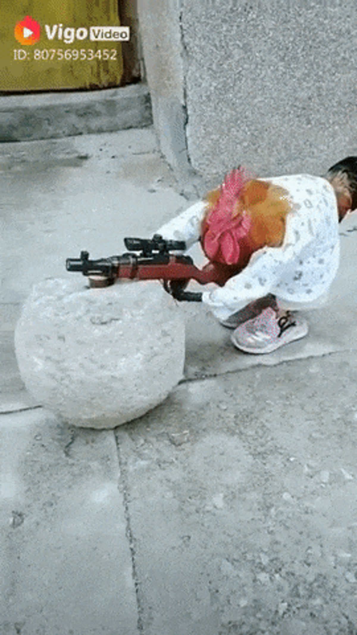 www.gif-vif.com