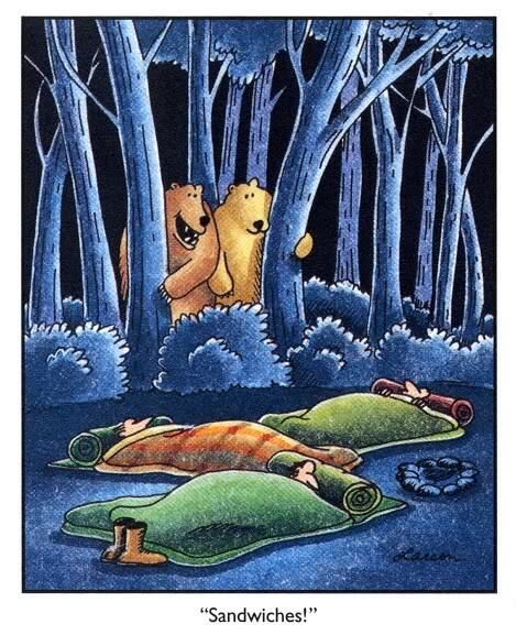 c1ab54a91e35f3218905af71db15021e--gary-larson-sandwiches.jpg