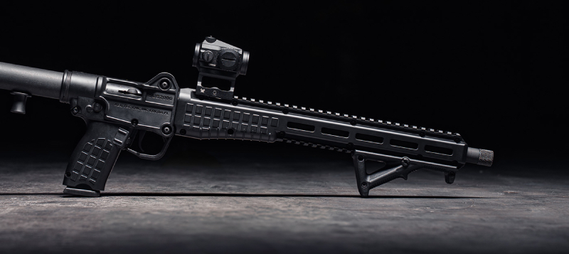 www.thetruthaboutguns.com