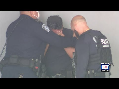 www.local10.com