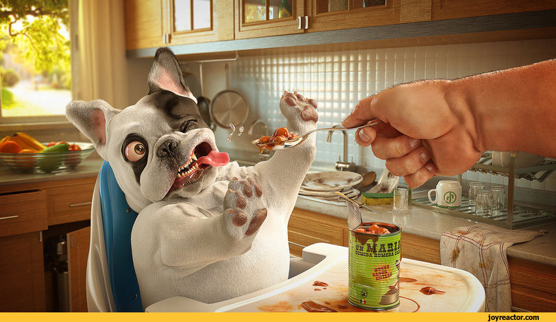 art-3D-dog-food-995373.jpeg