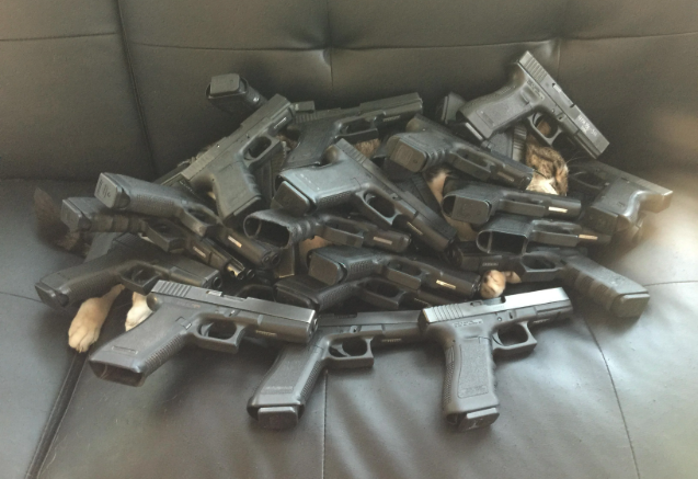 www.thetruthaboutguns.com