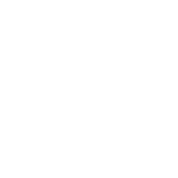 trailblazerfirearms.com