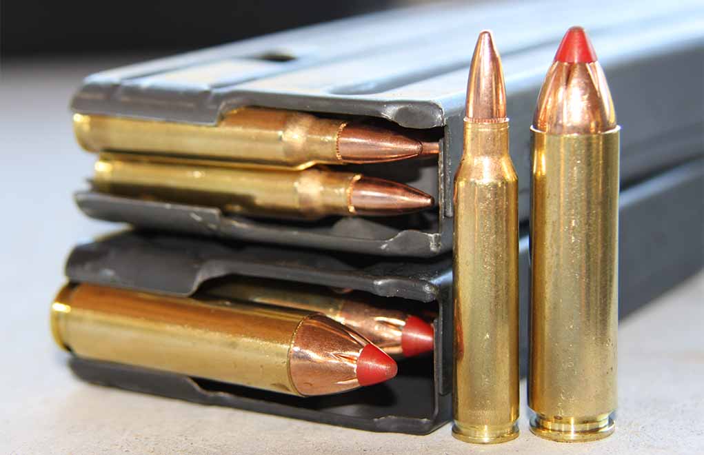 gundigest.com