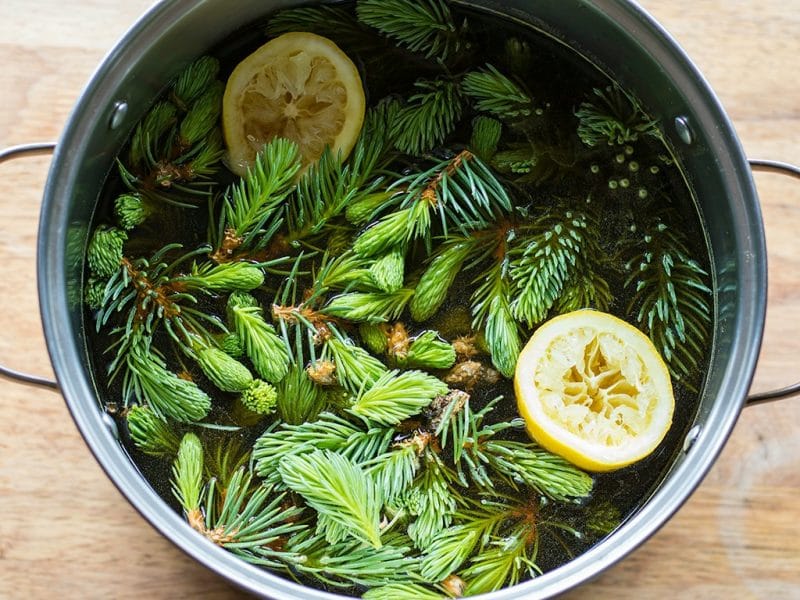 www.growforagecookferment.com