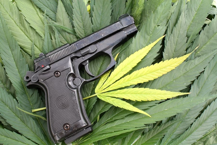 www.thetruthaboutguns.com