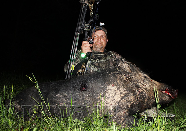 bow-night-hunting-wild-boar.png