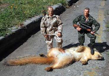 squirrelkillqr6.jpg