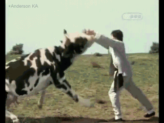 7MgCCo2.gif