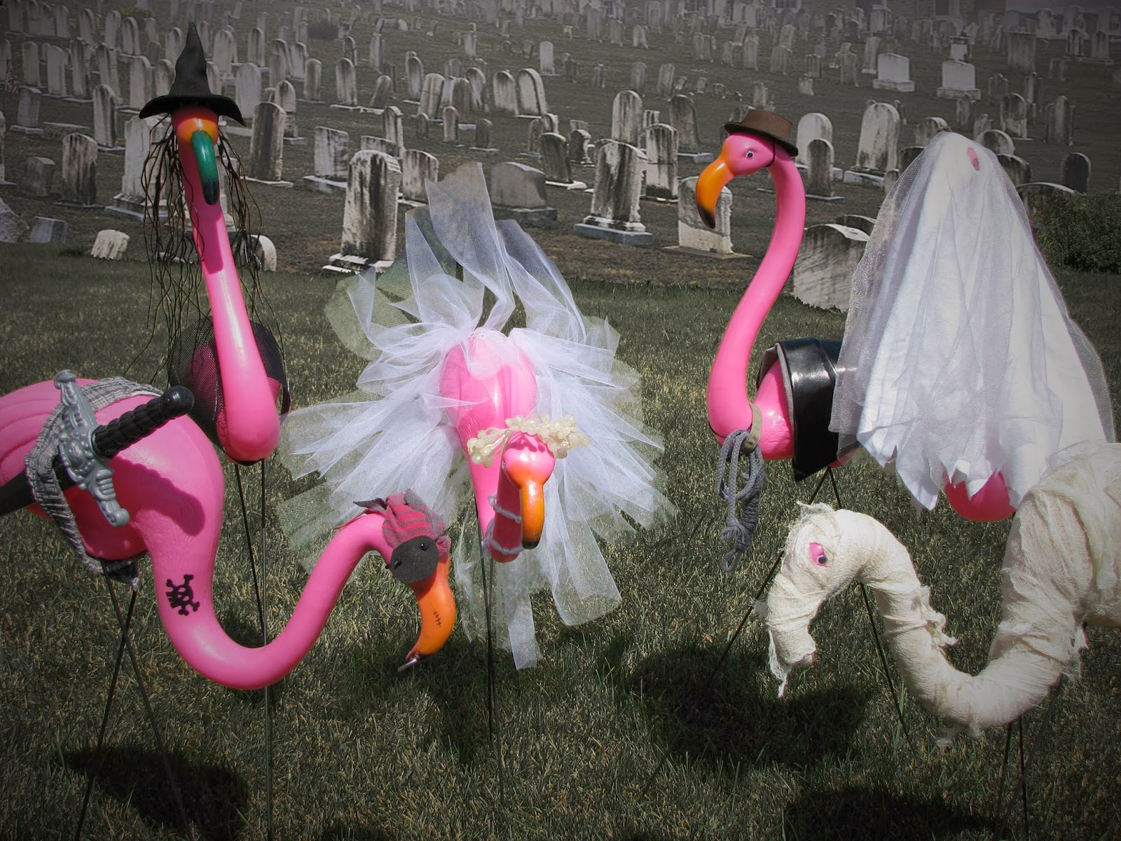 flamingos.jpg