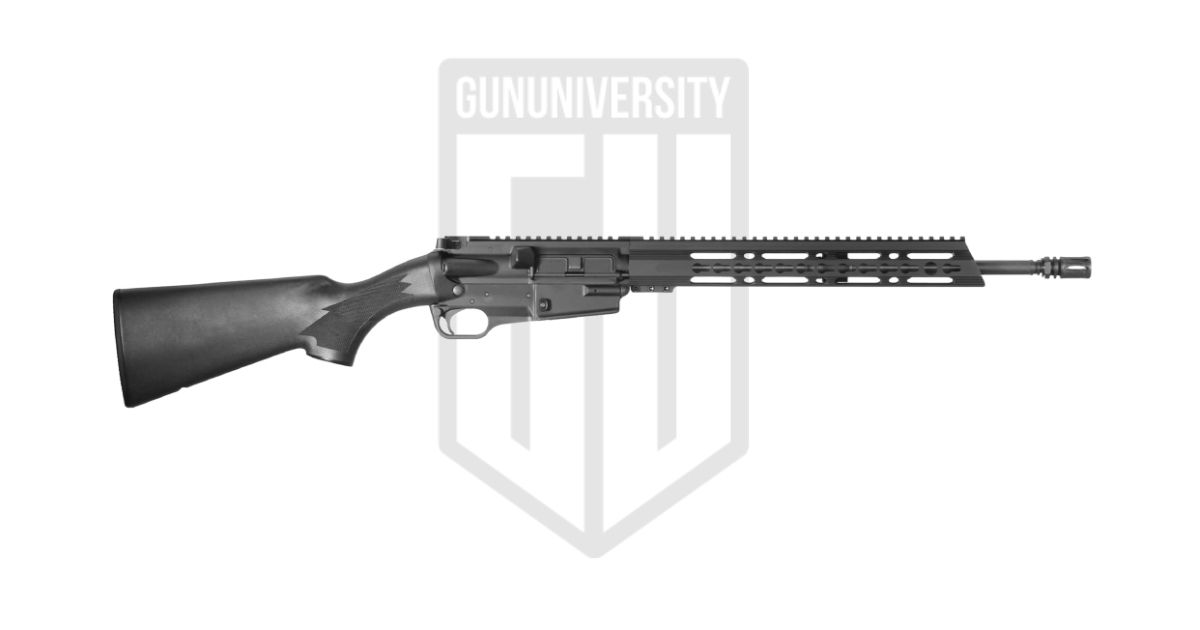 gununiversity.com
