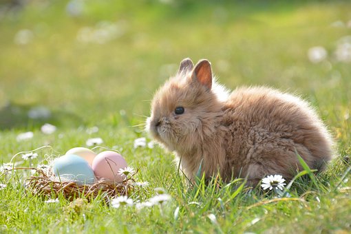 easter-2197043__340.jpg