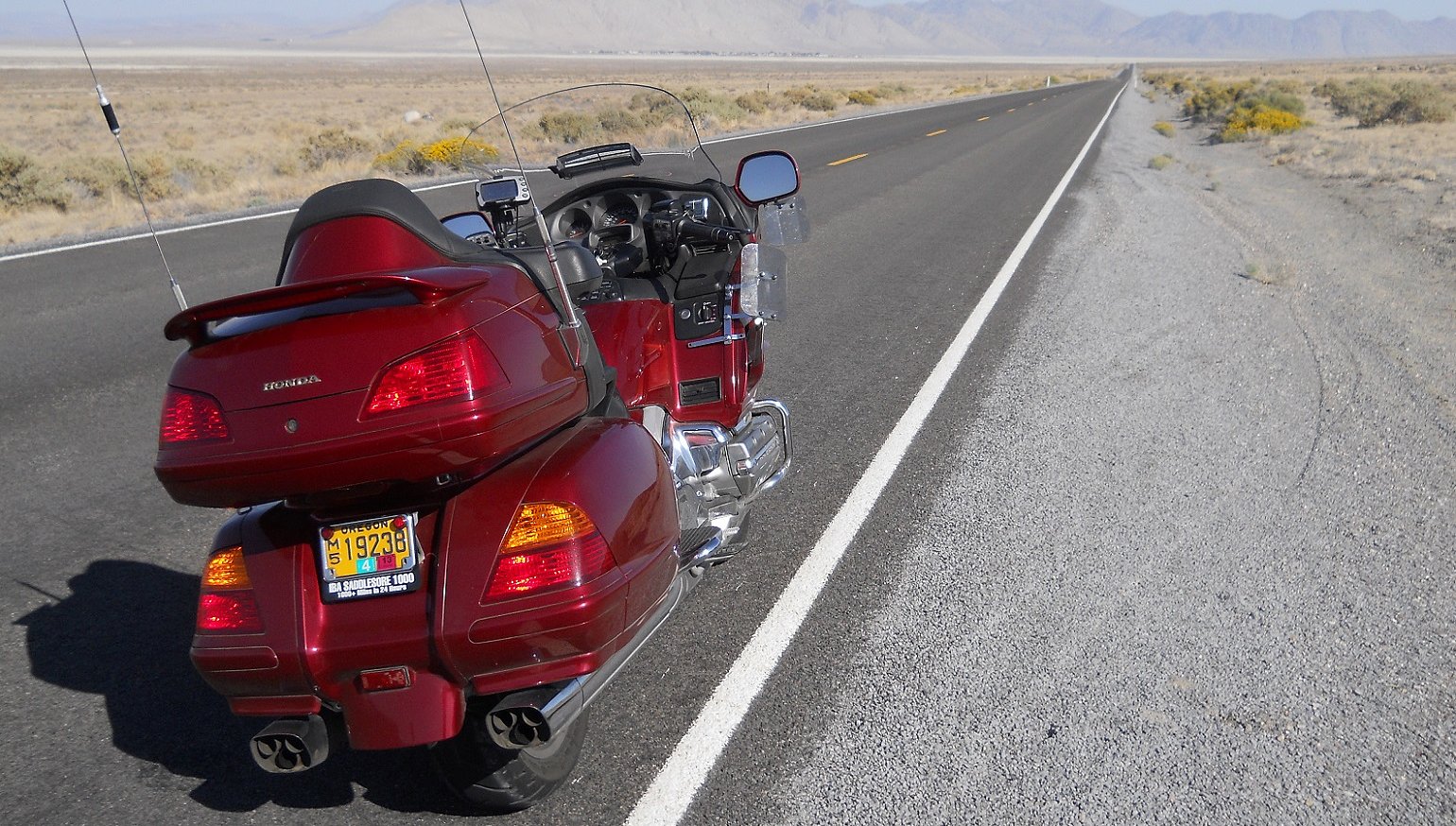 www.revzilla.com