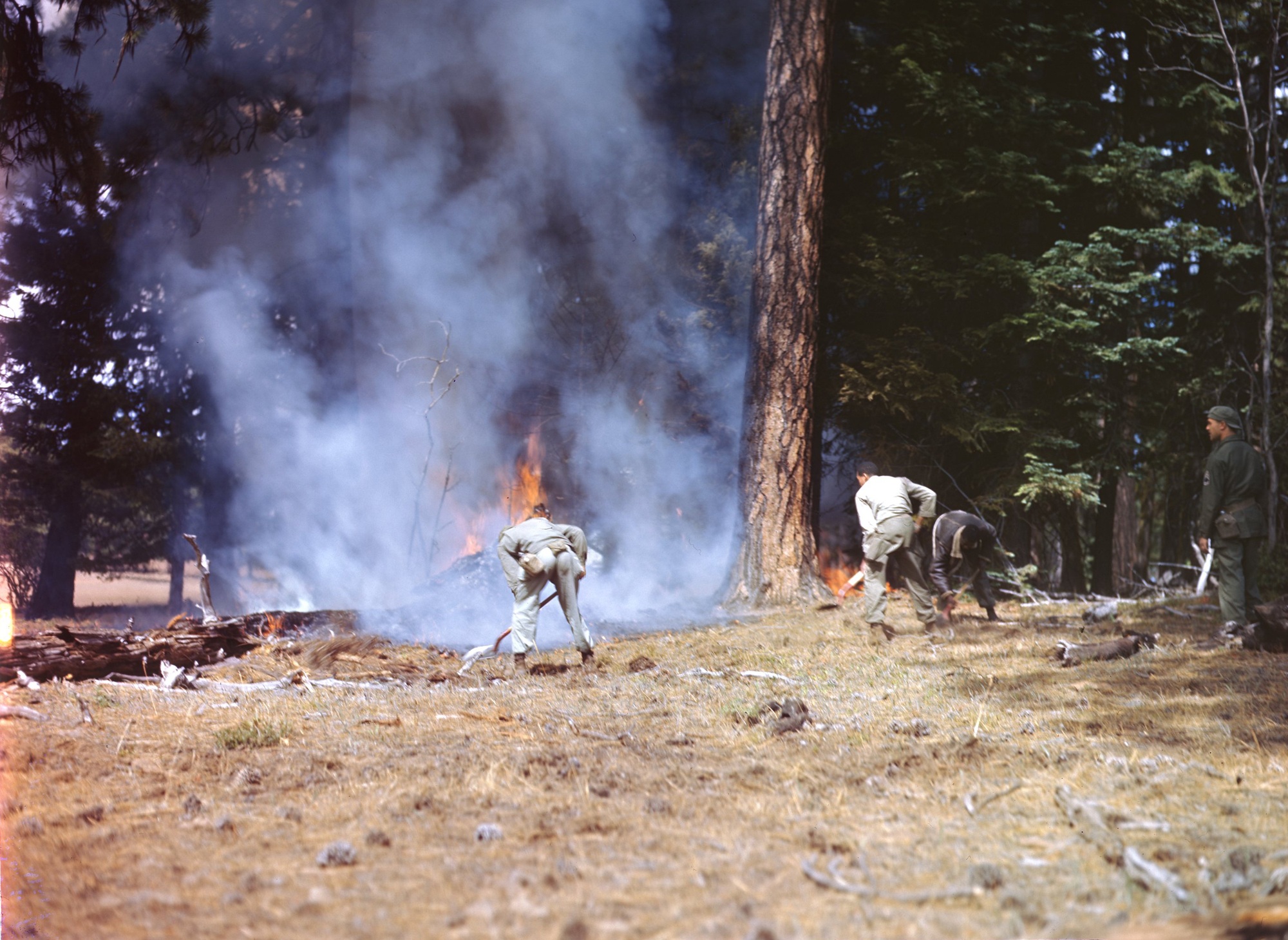 laststandonzombieisland.com