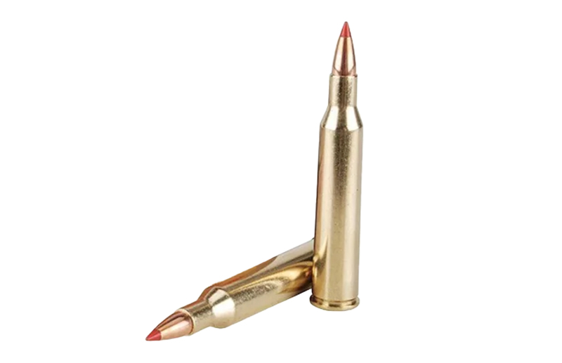 gundigest.com