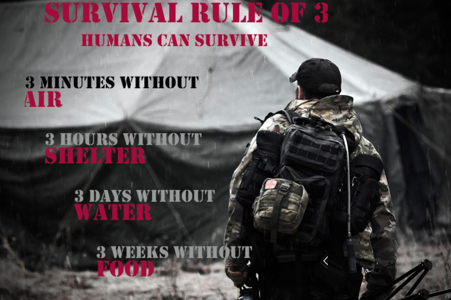 thesurvivaluniversity.com