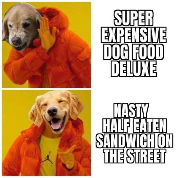 nRfsvo.jpg