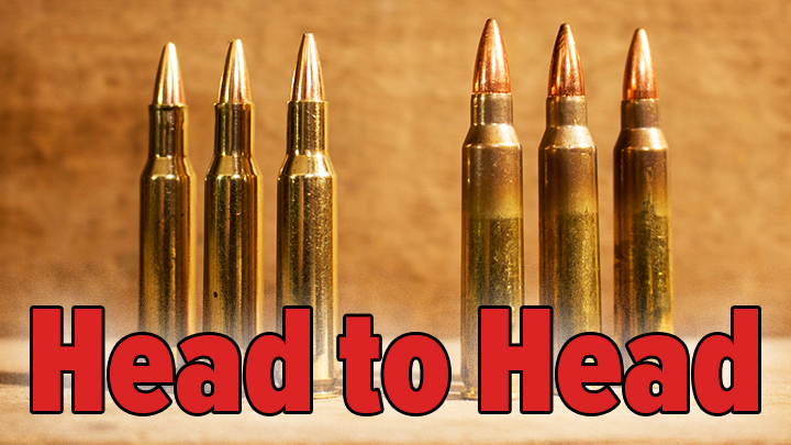 www.americanhunter.org
