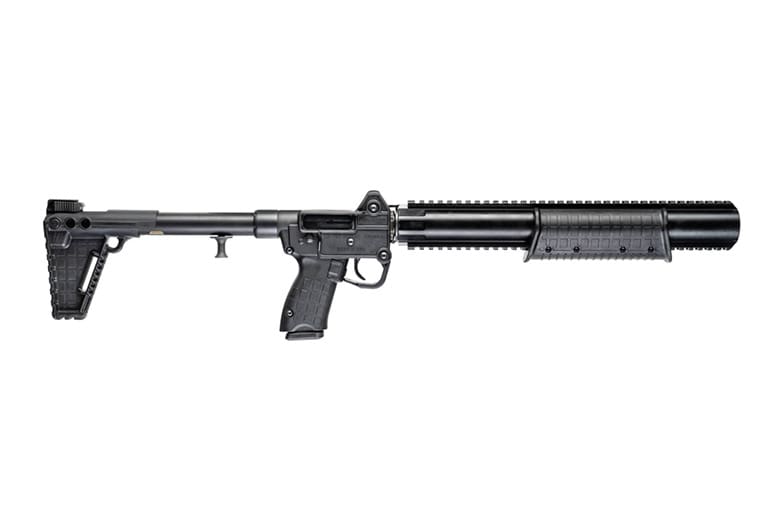 www.thetruthaboutguns.com