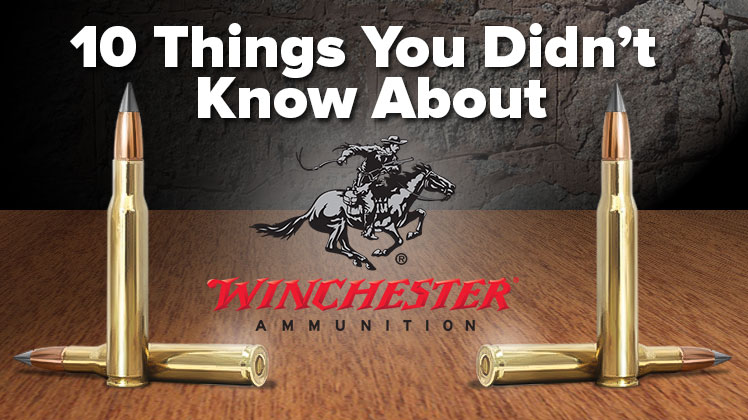 www.americanhunter.org
