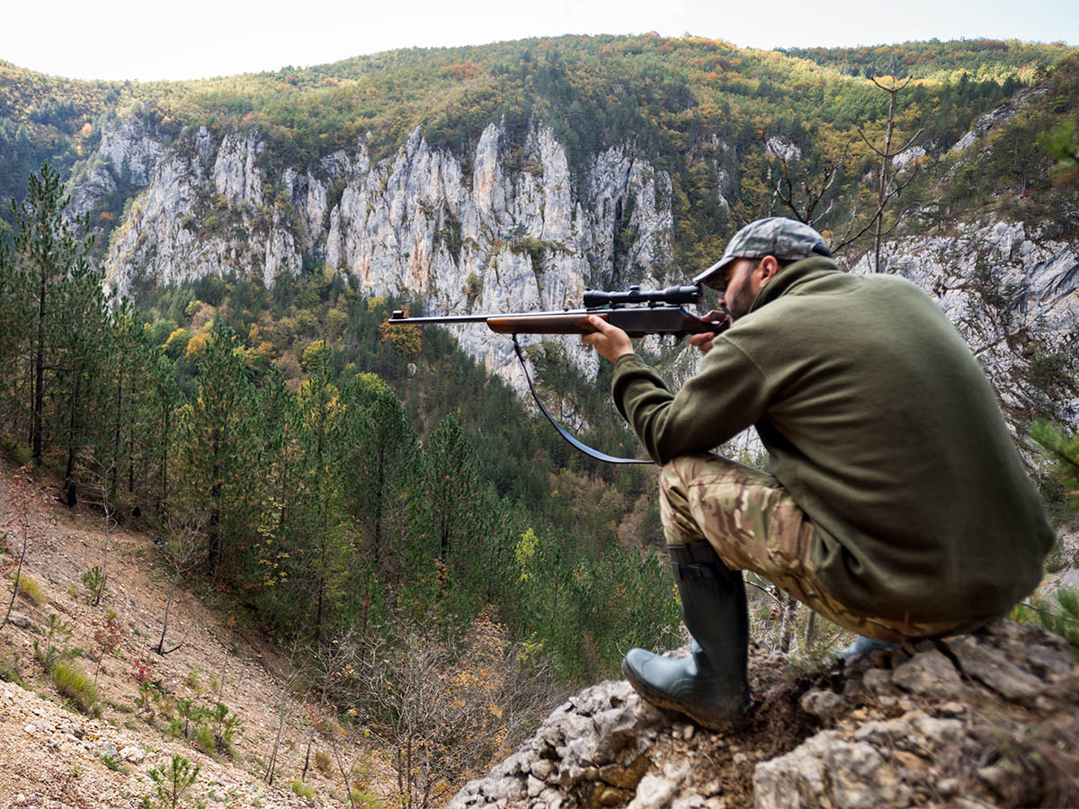 gundigest.com