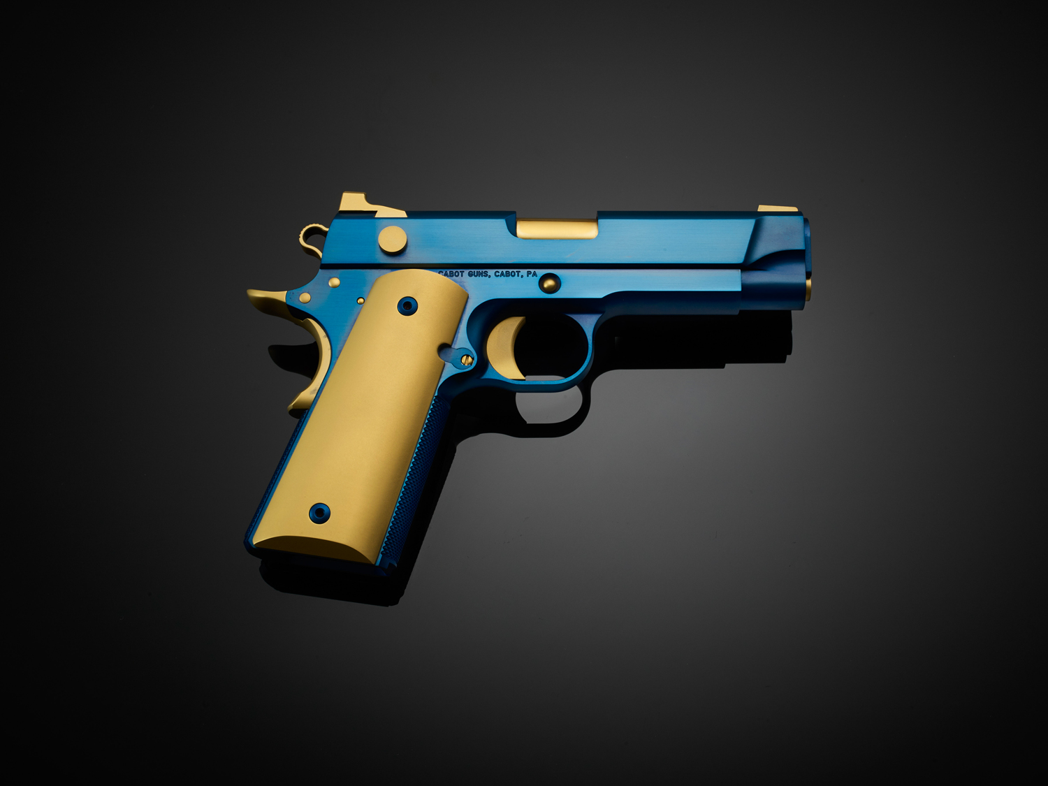 4-CabotGuns_42137.jpg