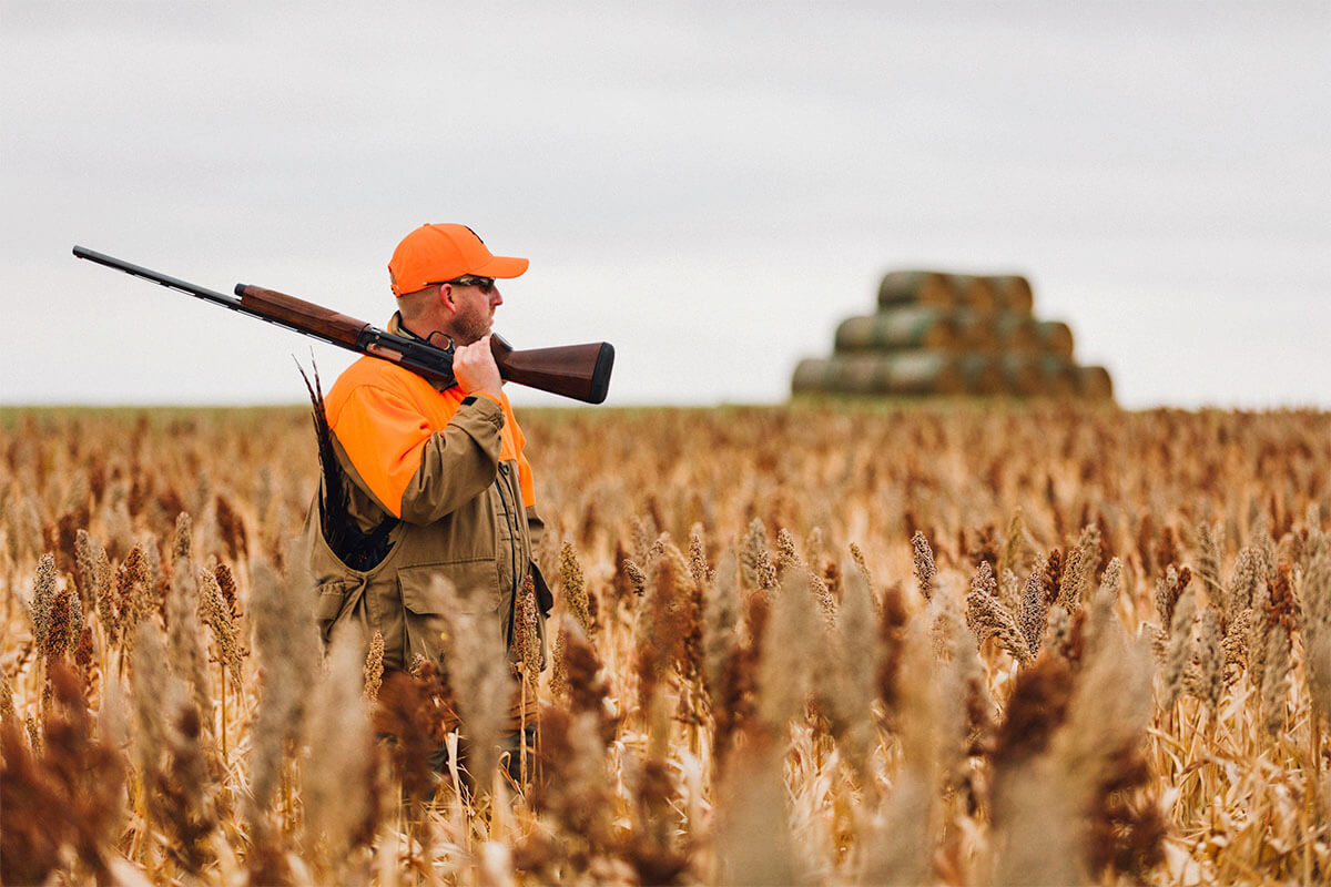 www.gundogmag.com