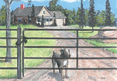 www.backwoodshome.com