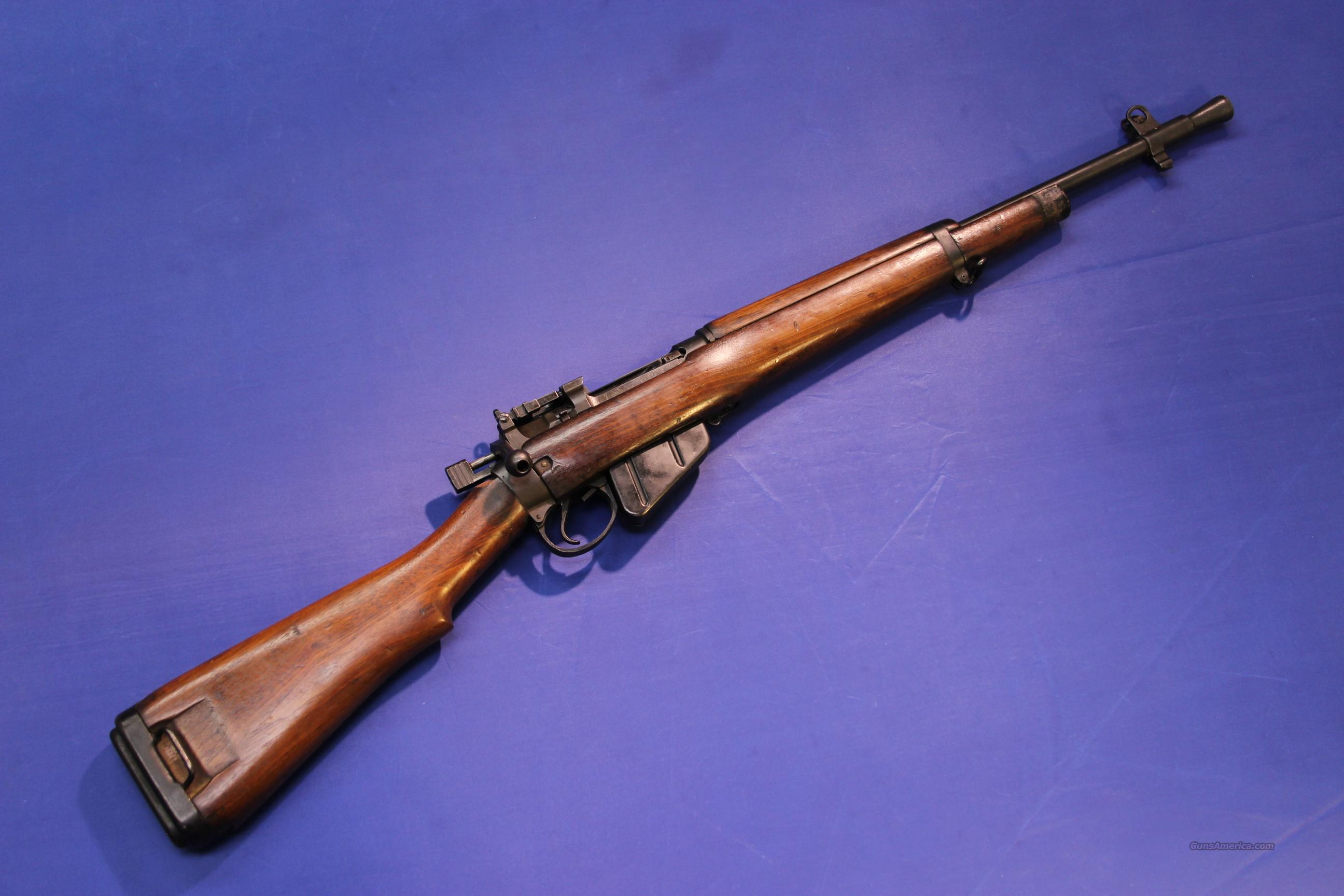 wm_4570057.jpg