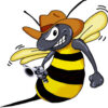 www.speedbeez.com