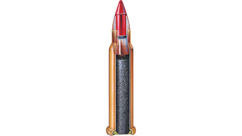 www.americanrifleman.org