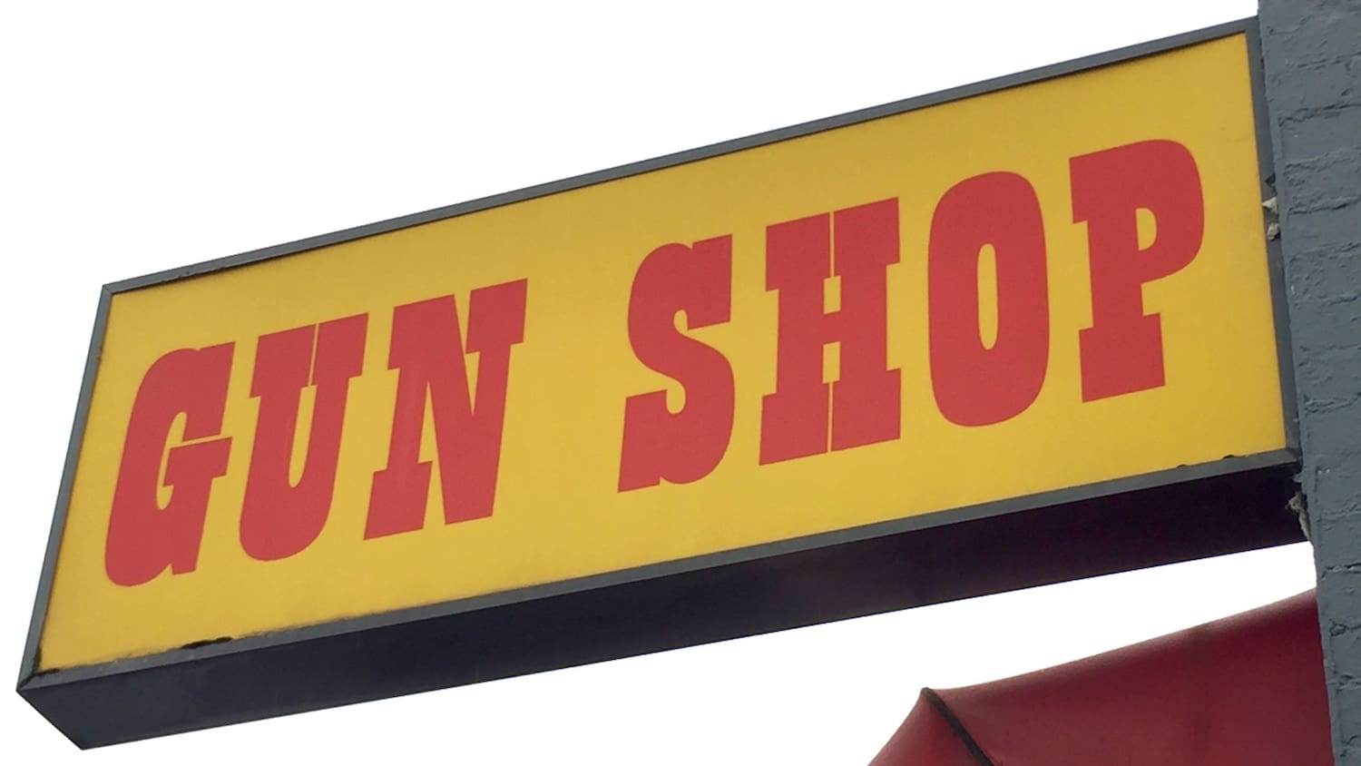 www.thetruthaboutguns.com