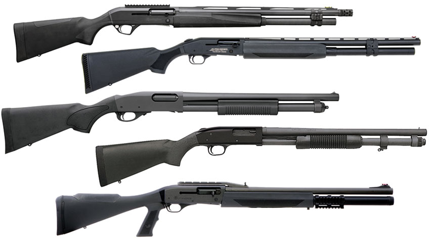www.shootingillustrated.com