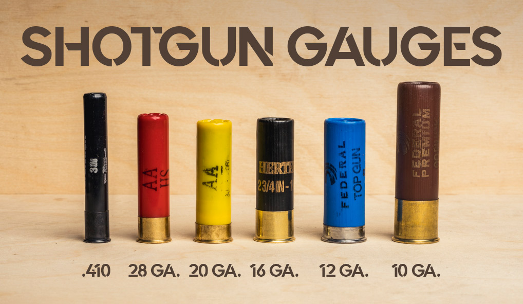 Shotgun shells are classified by gauges. 
