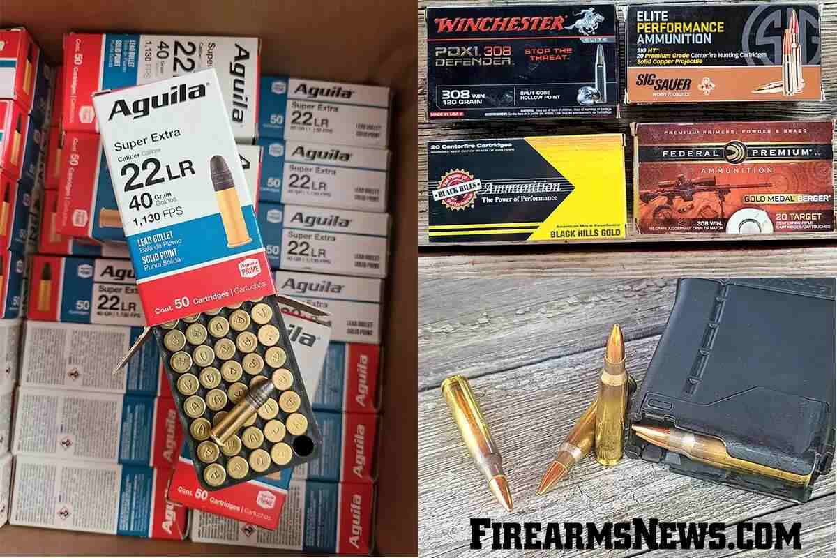 www.firearmsnews.com