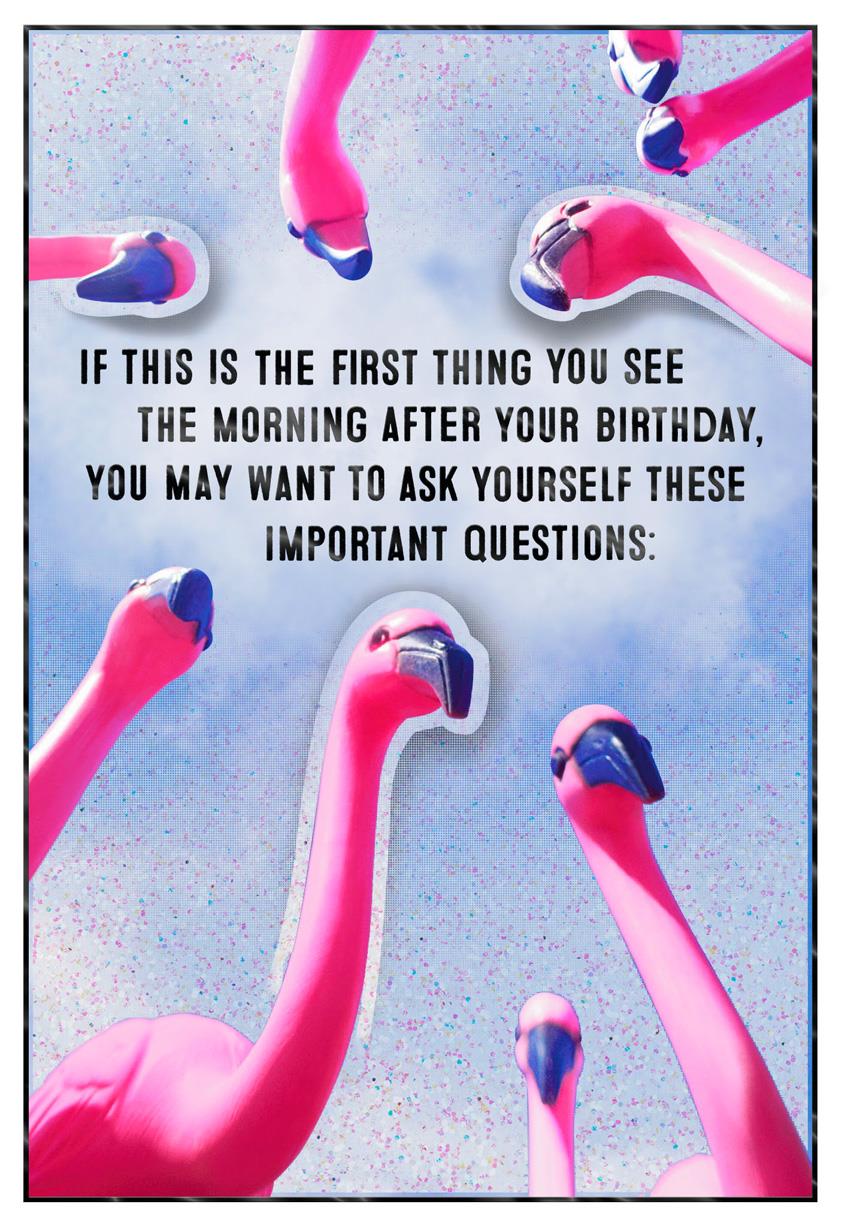 Flock of Pink Flamingos Funny Birthday Card - Greeting ...