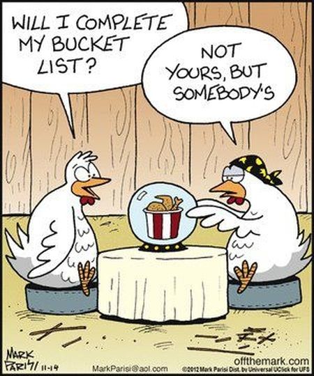 Chicken Humor