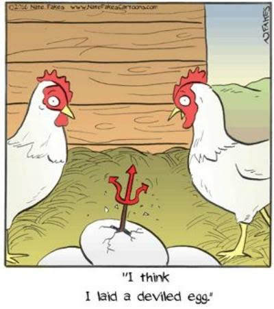 Chicken Feathers: Today's funny :o)