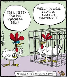 #chickenhumor | Roliga bilder, Ordbilder