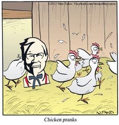 141 Best Poultry Humor images | Humor, Chicken humor ...