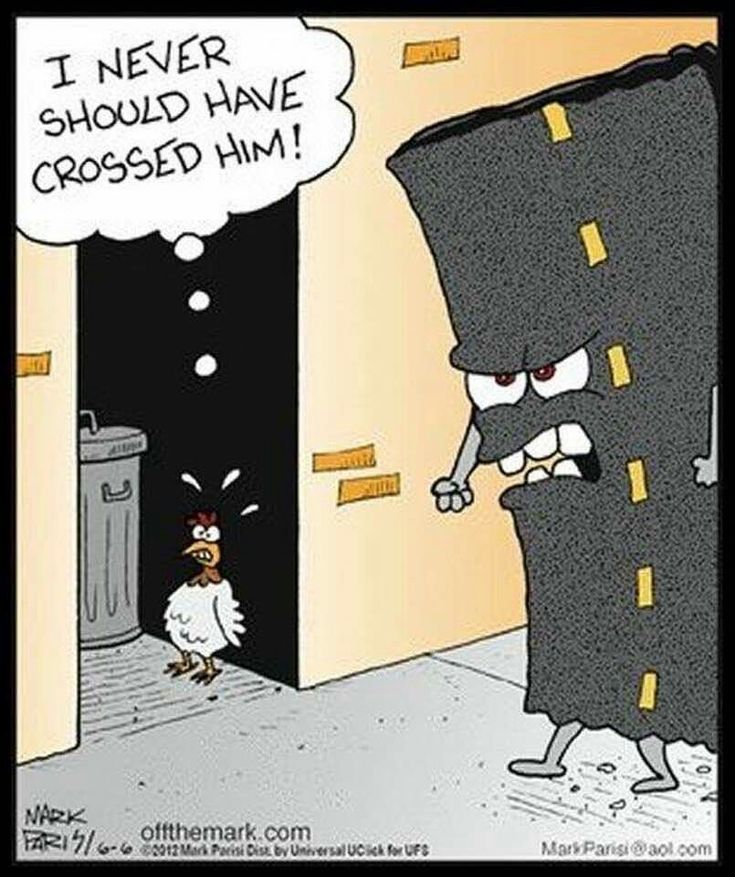 Chicken humor | Cute jokes, Funny cartoons, Sick humor